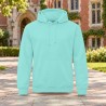 Sweat à capuche homme AWDis JH001 Peppermint