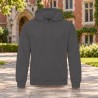 Sweat à capuche homme AWDis JH001 Charcoal