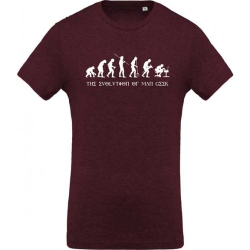 T-shirt Evolution of man geek