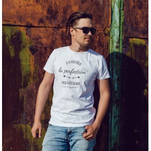 T-shirt humour et perfection
